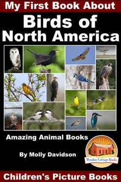 my first book about the birds of north america: amazing animal books - children's picture books book cover image