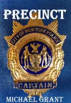 precinct book cover image