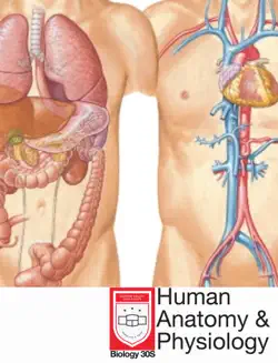 human anatomy & physiology book cover image
