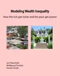 Modeling Wealth Inequality