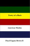 Poetry of a Black American Muslim synopsis, comments