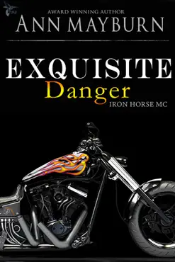 exquisite danger book cover image