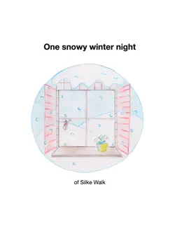 one snowy winter night book cover image