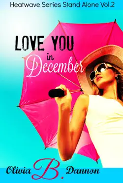 love you in december book cover image