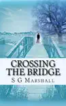 Crossing the Bridge synopsis, comments