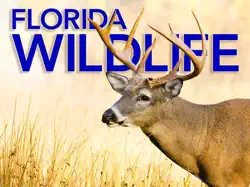 florida wildlife magazine book cover image