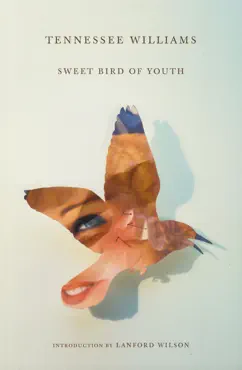 sweet bird of youth book cover image