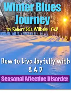 winter blues journey book cover image