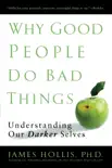 Why Good People Do Bad Things synopsis, comments
