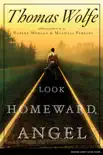 Look Homeward, Angel synopsis, comments
