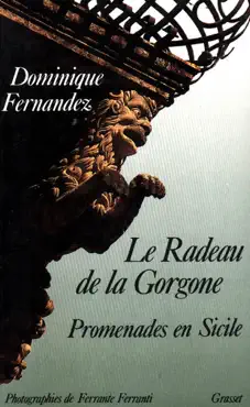 le radeau de la gorgone book cover image
