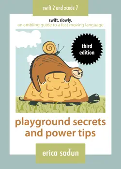 playground secrets and power tips book cover image