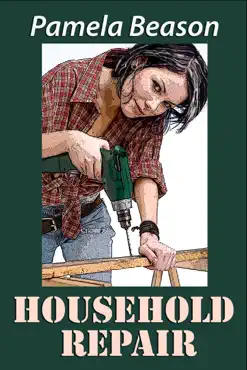 household repair: a short story book cover image