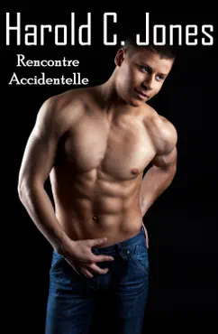 rencontre accidentelle book cover image