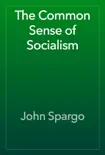 The Common Sense of Socialism synopsis, comments