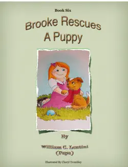brooke rescues a puppy book cover image