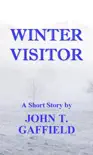 Winter Visitor synopsis, comments