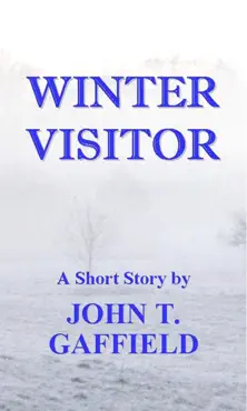 winter visitor book cover image