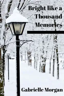 bright like a thousand memories imagen de la portada del libro