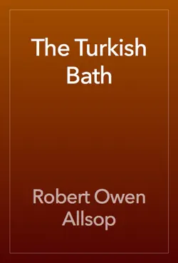 the turkish bath book cover image