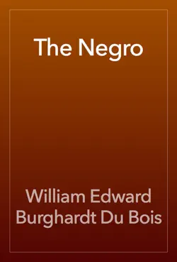 the negro book cover image