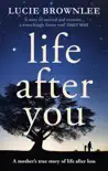 Life After You synopsis, comments