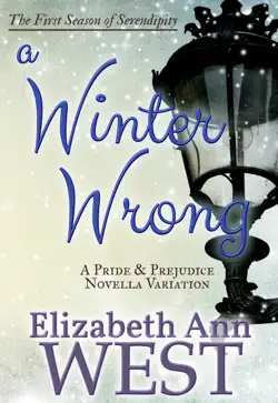 a winter wrong book cover image