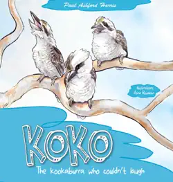 koko book cover image