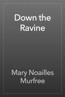 down the ravine book cover image