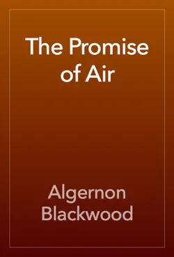 the promise of air book cover image