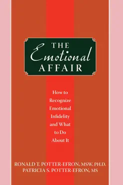 the emotional affair book cover image