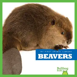 beavers book cover image