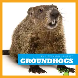 groundhogs book cover image