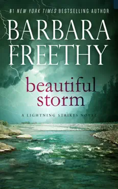 beautiful storm book cover image