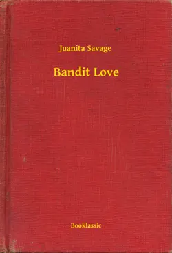 bandit love imagen de la portada del libro