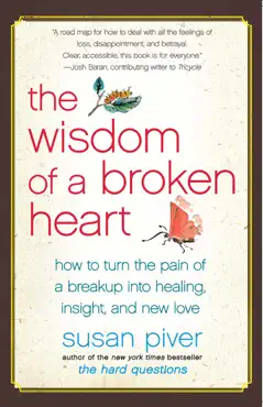 the wisdom of a broken heart book cover image