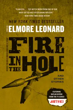 fire in the hole book cover image