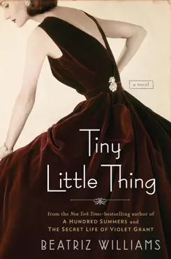 tiny little thing book cover image