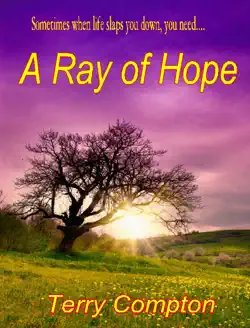 a ray of hope book cover image