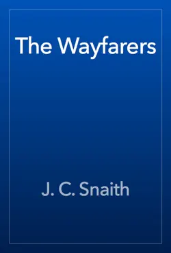 the wayfarers book cover image