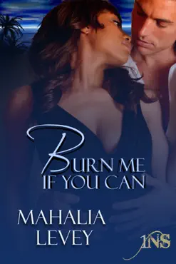 burn me if you can book cover image