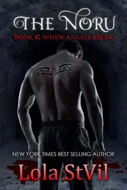 the noru : when angels break (the noru series, book 4) book cover image