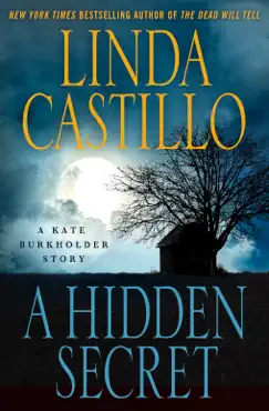 a hidden secret book cover image