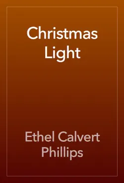 christmas light book cover image