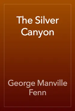 the silver canyon book cover image