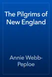 The Pilgrims of New England reviews