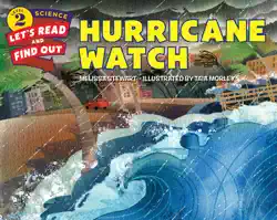 hurricane watch book cover image