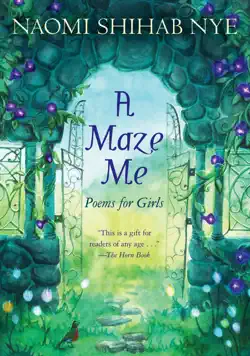 a maze me book cover image