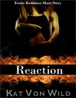 Reaction Erotic Short Story synopsis, comments