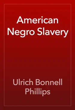 american negro slavery book cover image